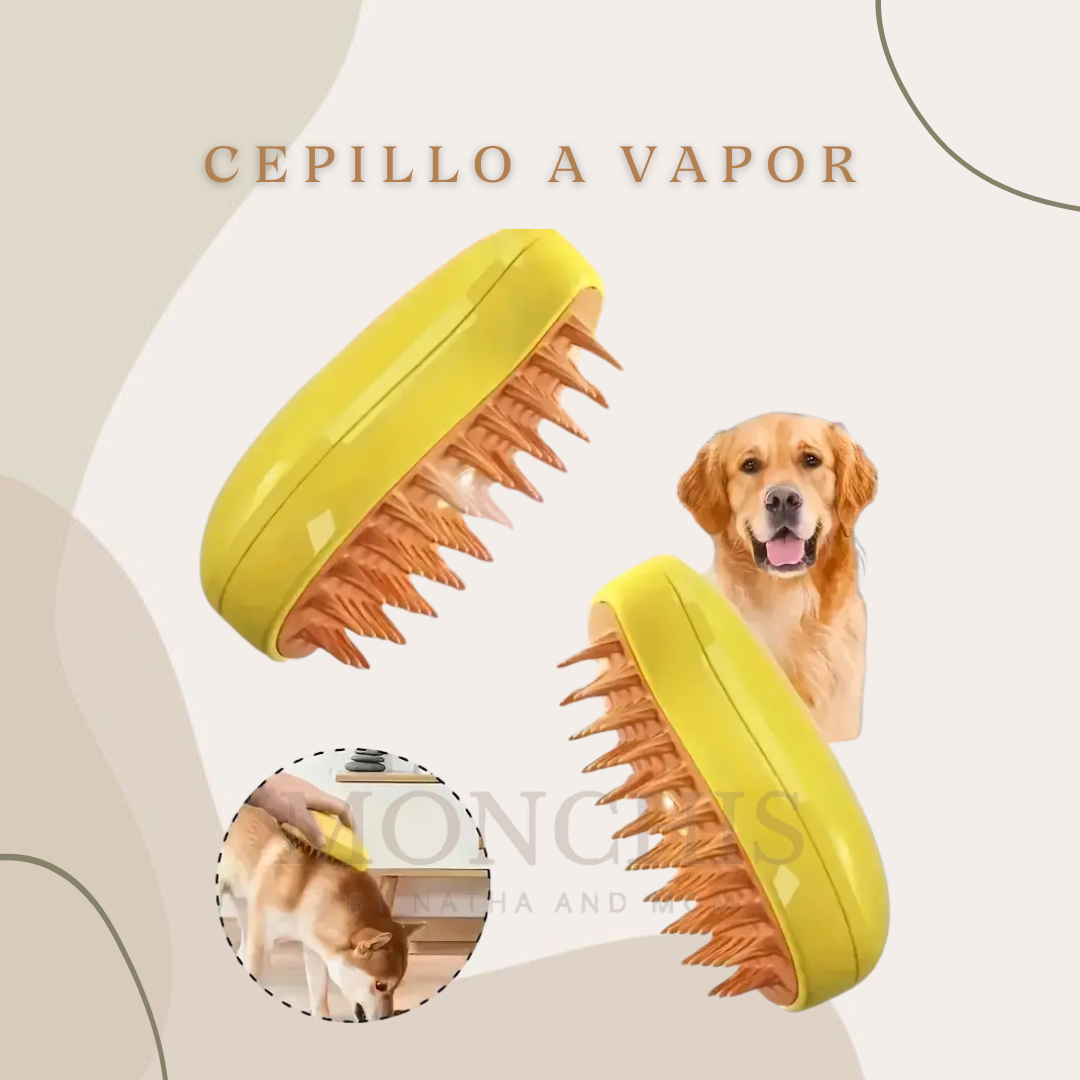 CEPILLO A VAPOR
