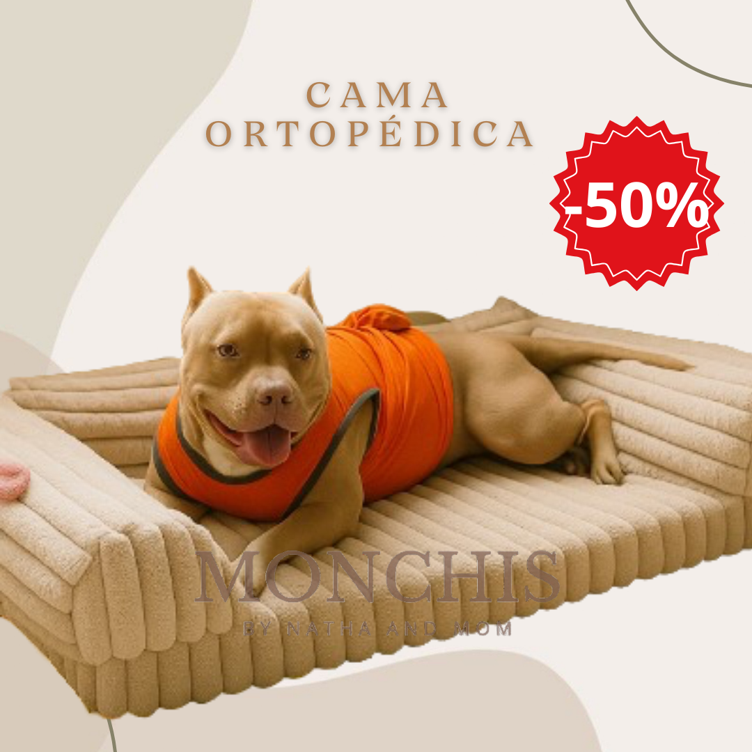 Cama Ortopédica