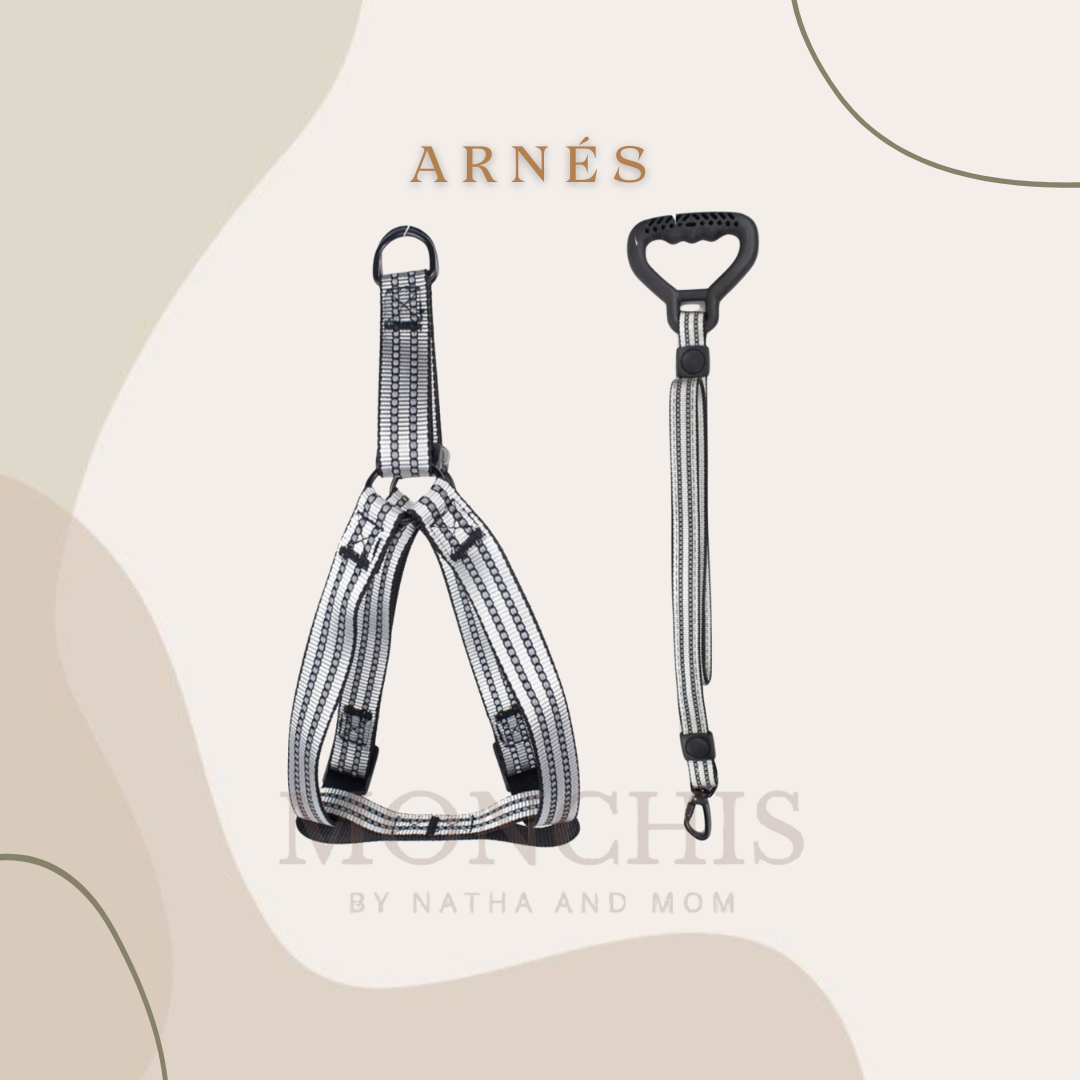 ARNÉS