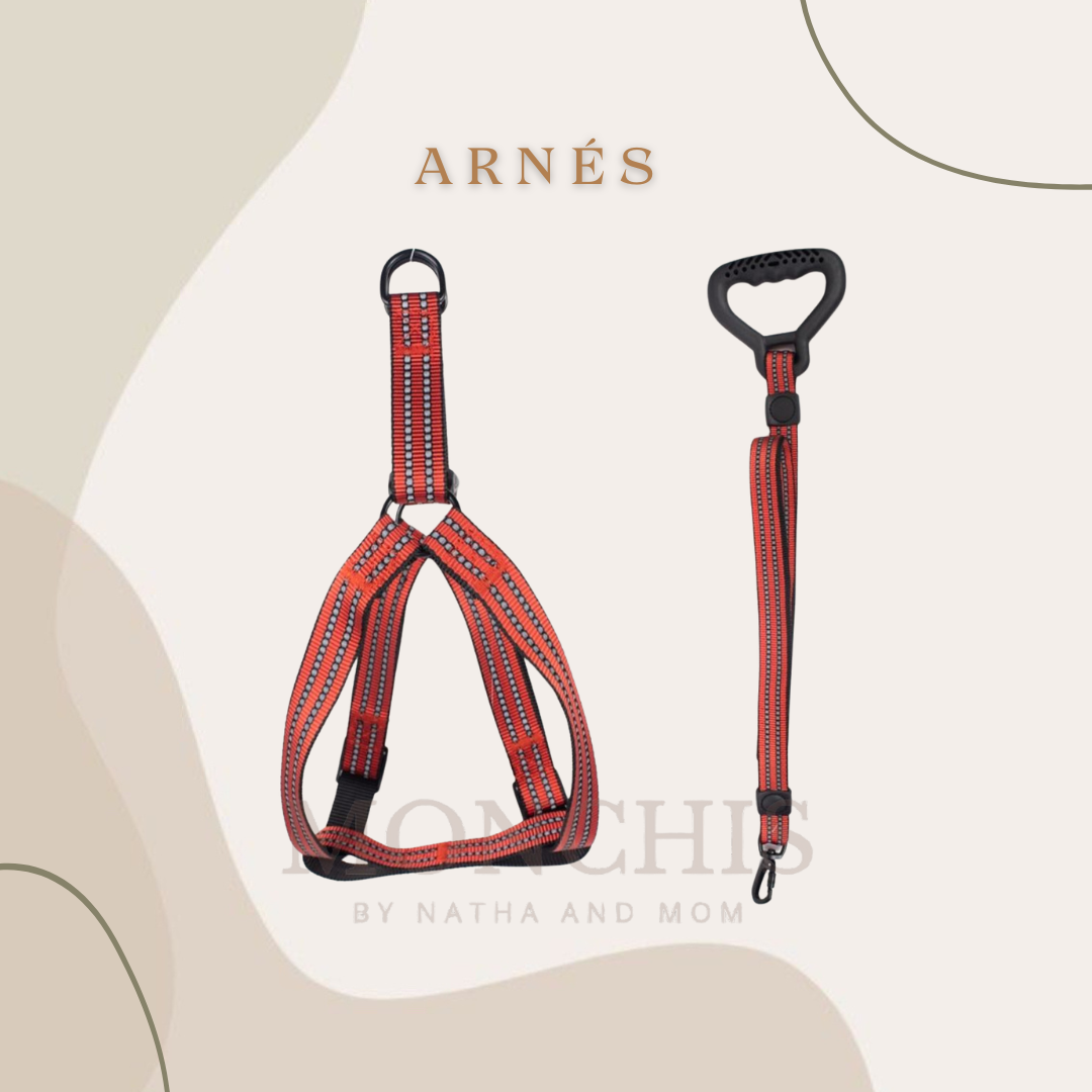 ARNÉS