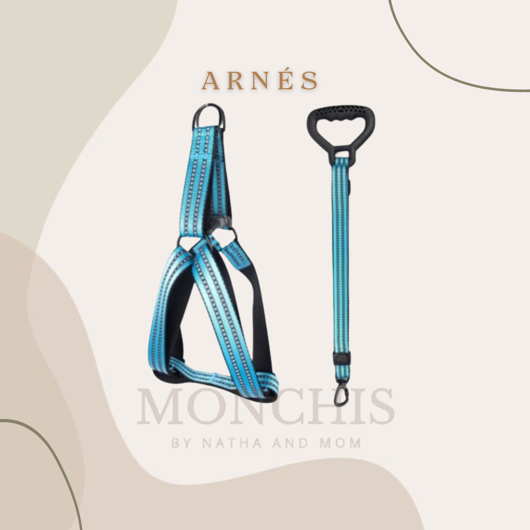 ARNÉS