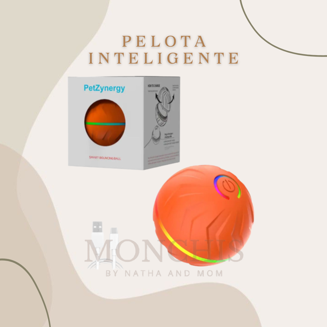 PELOTA INTELIGENTE