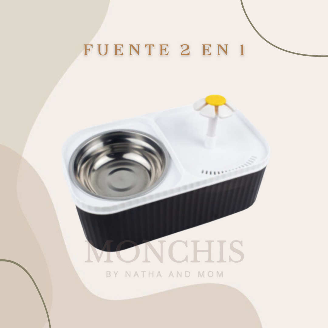 FUENTE DE AGUA  2 EN 1
