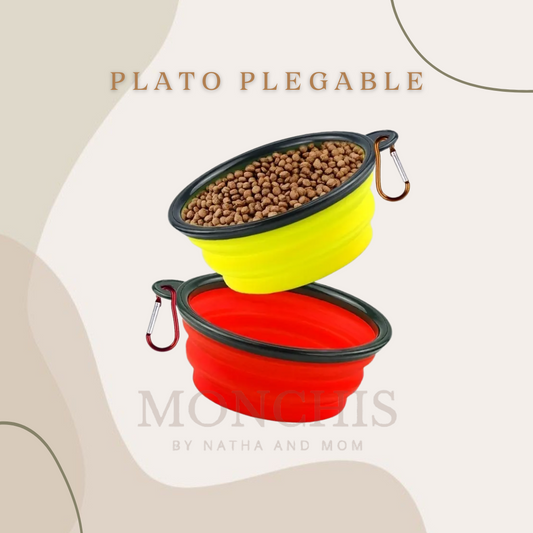 PLATO PELGABLE