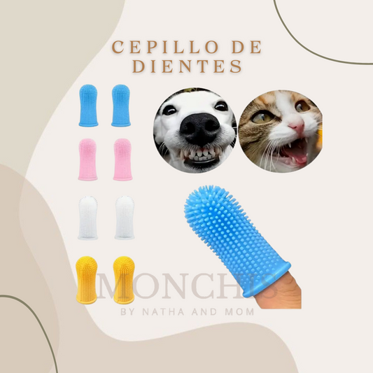 CEPILLO DE DIENTES